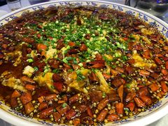 -新概念来凤鱼(璧山店)