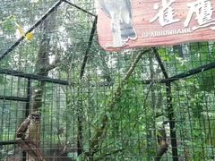 -海南热带野生动植物园