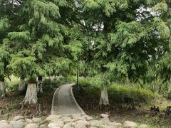 -长广溪湿地公园