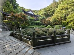 -十八棵（老龙井）御茶园(老龙井店)