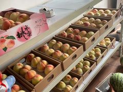 -南汇新场正宗水蜜桃采摘