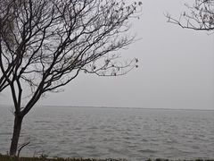 -阳澄湖半岛旅游度假区