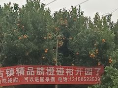 -五凤溪古镇
