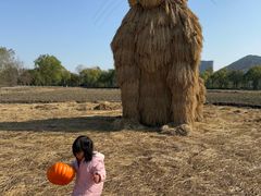 -长兴太湖图影湿地文化园