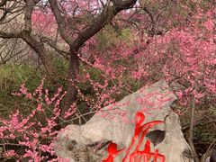 -杭州植物园