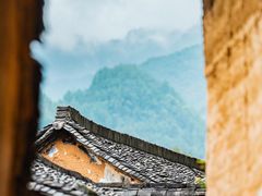 -杨家堂村