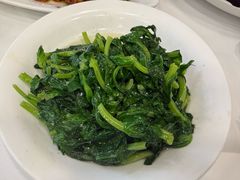 清炒豆苗-鼎泰丰(环贸店)