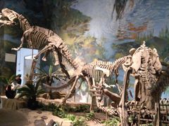 -自贡恐龙博物馆