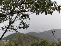 -雨花胜境