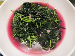 清炒苋菜-田水湾•六尺巷(东方蓝海店)