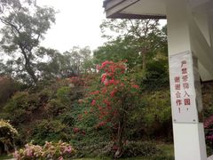 -海堤纪念公园