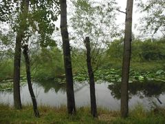 -微山湖红荷湿地景区