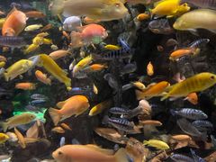 -太平洋海底世界