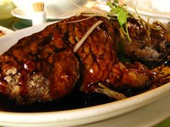 -金龙寨(解西店)