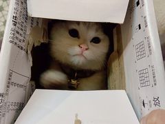 -2烧烤串·秘制鲫鱼