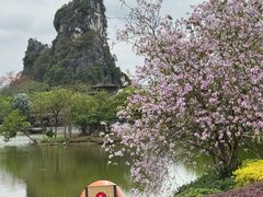 -南宁花花大世界景区