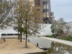 -南紀白浜 浜千鳥の湯 海舟