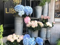 -利宝百货公司
