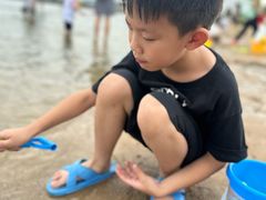 -碧海金沙