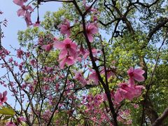 -桃花涧