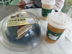 -有猫主题·治愈系猫咖(曾厝垵店)