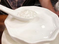 椰汁西米露-正德顺順德雙皮奶(中信店)