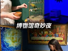 -Xcape异时刻密室逃脱魔法互动(瑞虹天地太阳宫店)
