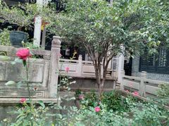 -小洲村