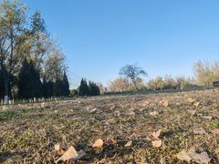 -汉长安城未央宫国家考古遗址公园