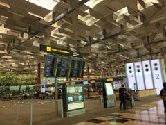 -新加坡航空公司(ION)