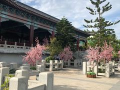 -厦门方特梦幻王国