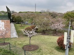 -自然谷恐龙园