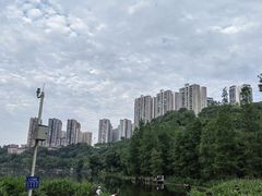 -重庆彩云湖湿地公园