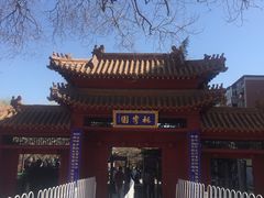 -桃花堤公园