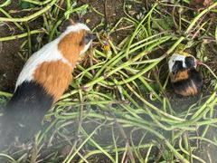 -嬉乐湾休闲旅游区