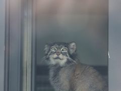 -青藏高原野生动物园