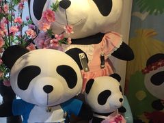 -熊猫屋(宽窄巷子景区店)