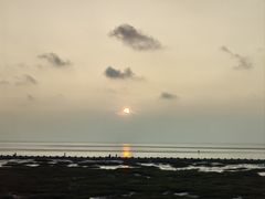 -南汇嘴观海公园