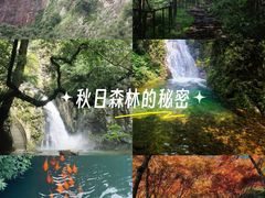 -五泄景区