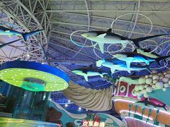 -烟台海昌鲸鲨海洋公园