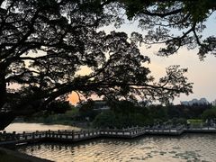 -江心屿景区