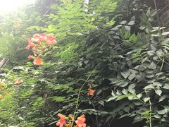 -也枫·小黄楼(南山路旗舰店)