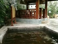 -龙达温泉生态城