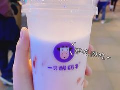 -一只酸奶牛(八一路店)