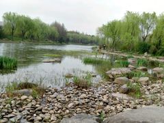 -新江湾城公园