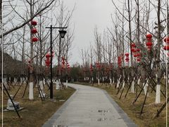 -狼山风景名胜区