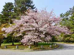 -京都御所