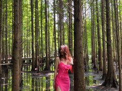 -桤木河湿地公园