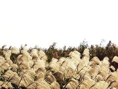 -苏州吴中太湖旅游区