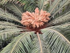 -兴芮温泉度假区